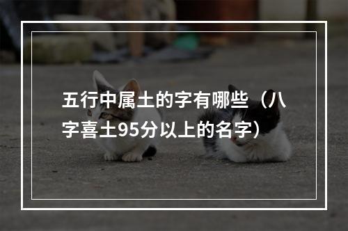 五行中属土的字有哪些（八字喜土95分以上的名字）