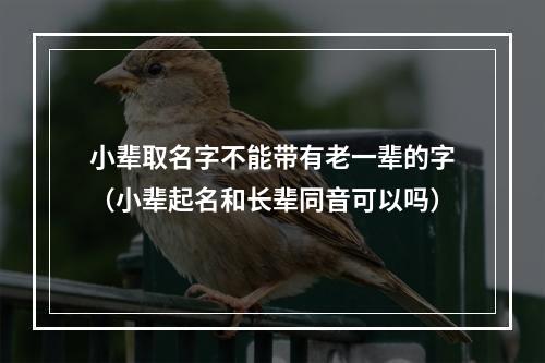 小辈取名字不能带有老一辈的字（小辈起名和长辈同音可以吗）