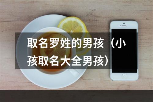 取名罗姓的男孩（小孩取名大全男孩）