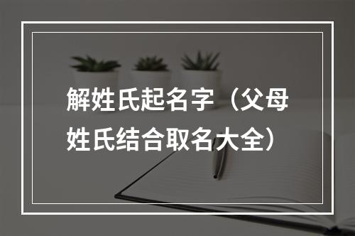 解姓氏起名字（父母姓氏结合取名大全）