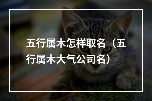 五行属木怎样取名（五行属木大气公司名）