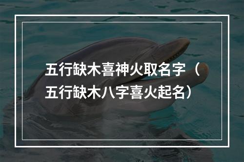五行缺木喜神火取名字（五行缺木八字喜火起名）
