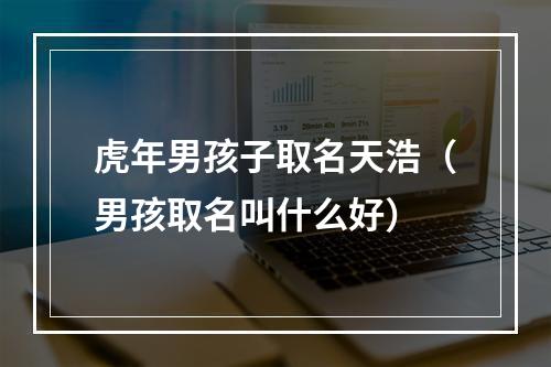 虎年男孩子取名天浩（男孩取名叫什么好）