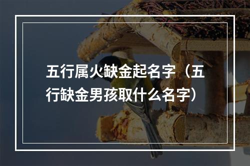 五行属火缺金起名字（五行缺金男孩取什么名字）