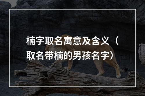 楠字取名寓意及含义（取名带楠的男孩名字）