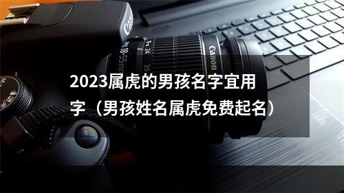 2023属虎的男孩名字宜用字（男孩姓名属虎免费起名）