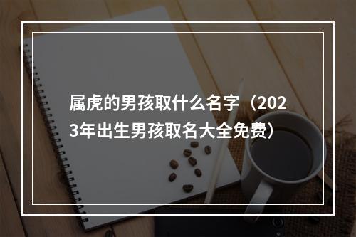 属虎的男孩取什么名字（2023年出生男孩取名大全免费）