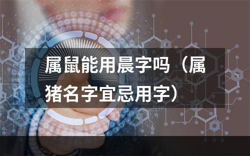 属鼠能用晨字吗（属猪名字宜忌用字）