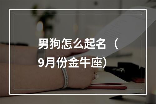 男狗怎么起名（9月份金牛座）