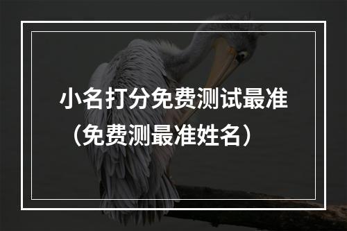 小名打分免费测试最准（免费测最准姓名）