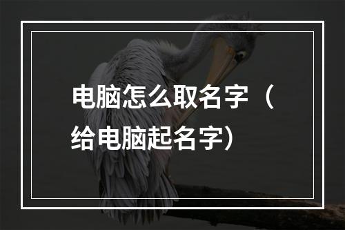电脑怎么取名字（给电脑起名字）