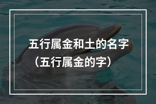 五行属金和土的名字（五行属金的字）