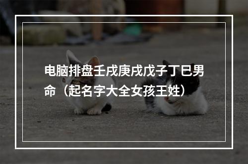 电脑排盘壬戌庚戌戊子丁巳男命（起名字大全女孩王姓）
