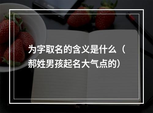 为字取名的含义是什么（郝姓男孩起名大气点的）