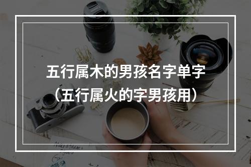 五行属木的男孩名字单字（五行属火的字男孩用）
