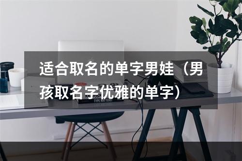 适合取名的单字男娃（男孩取名字优雅的单字）