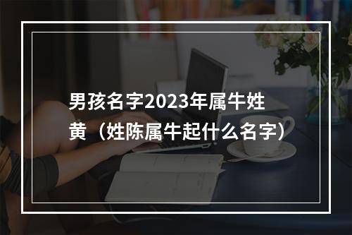 男孩名字2023年属牛姓黄（姓陈属牛起什么名字）