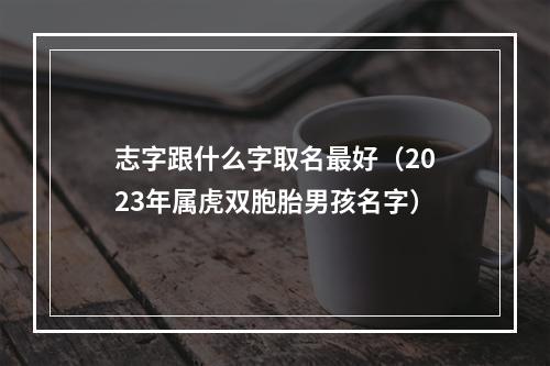 志字跟什么字取名最好（2023年属虎双胞胎男孩名字）