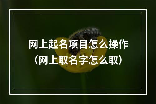 网上起名项目怎么操作（网上取名字怎么取）