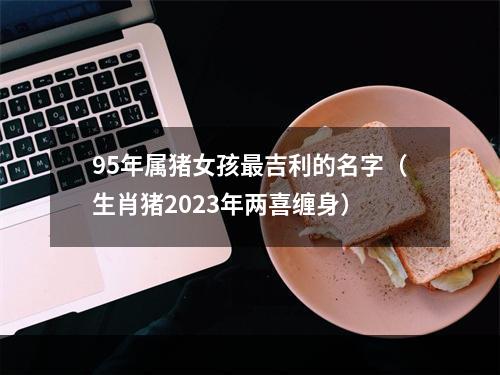 95年属猪女孩最吉利的名字（生肖猪2023年两喜缠身）