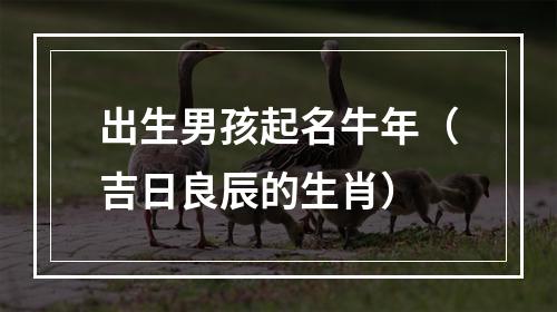 出生男孩起名牛年（吉日良辰的生肖）