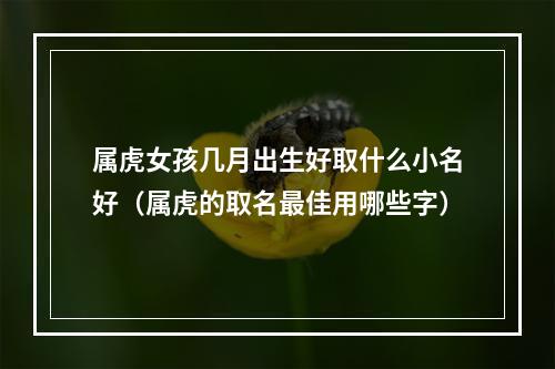 属虎女孩几月出生好取什么小名好（属虎的取名最佳用哪些字）