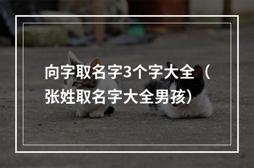 向字取名字3个字大全（张姓取名字大全男孩）
