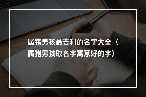 属猪男孩最吉利的名字大全（属猪男孩取名字寓意好的字）