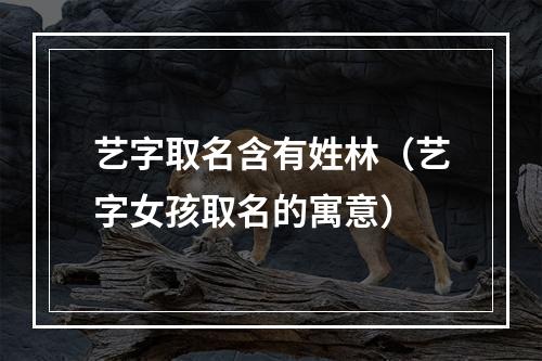 艺字取名含有姓林（艺字女孩取名的寓意）
