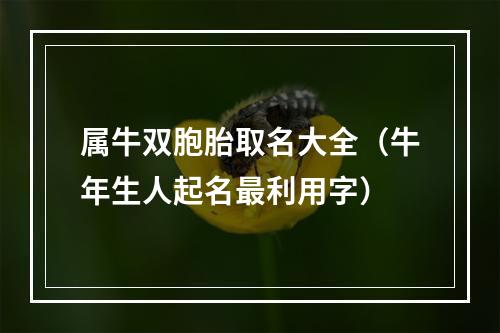 属牛双胞胎取名大全（牛年生人起名最利用字）