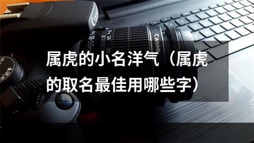 属虎的小名洋气（属虎的取名最佳用哪些字）