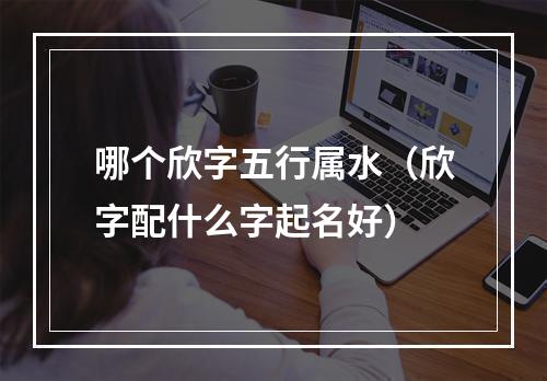 哪个欣字五行属水（欣字配什么字起名好）