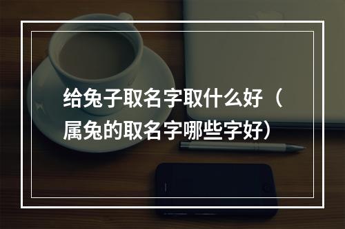 给兔子取名字取什么好（属兔的取名字哪些字好）