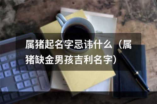 属猪起名字忌讳什么（属猪缺金男孩吉利名字）