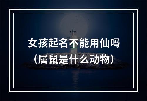 女孩起名不能用仙吗（属鼠是什么动物）