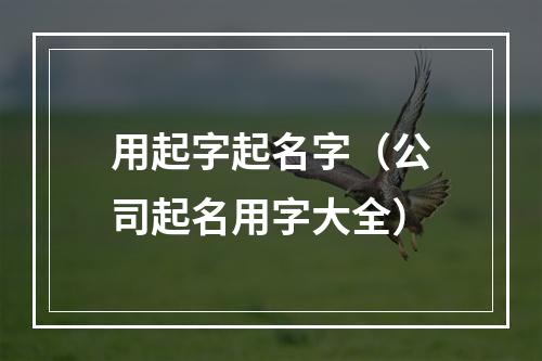 用起字起名字（公司起名用字大全）