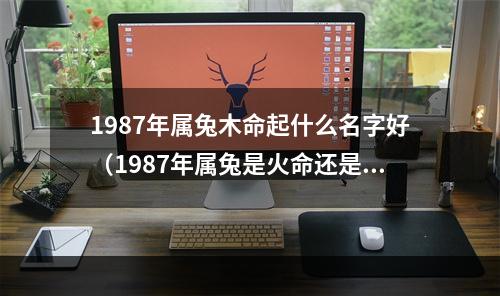 1987年属兔木命起什么名字好（1987年属兔是火命还是木命）