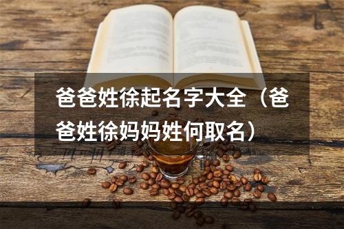 爸爸姓徐起名字大全（爸爸姓徐妈妈姓何取名）