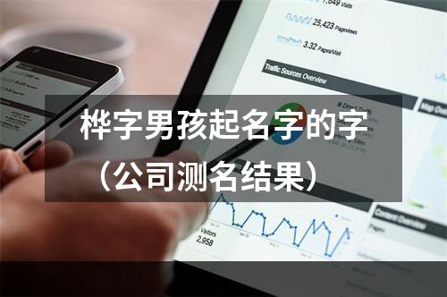 桦字男孩起名字的字（公司测名结果）
