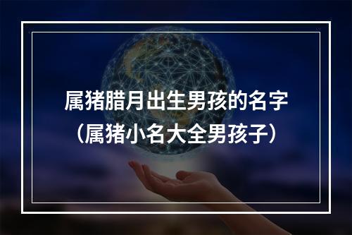 属猪腊月出生男孩的名字（属猪小名大全男孩子）