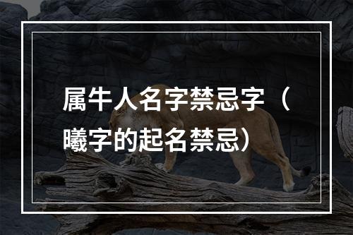 属牛人名字禁忌字（曦字的起名禁忌）