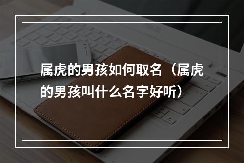 属虎的男孩如何取名（属虎的男孩叫什么名字好听）