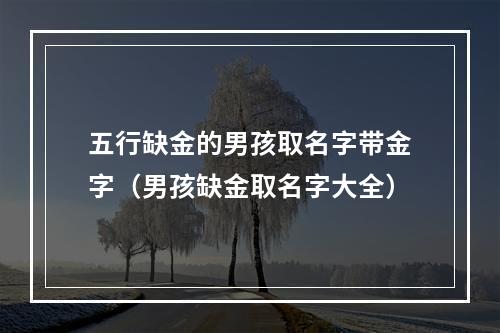 五行缺金的男孩取名字带金字（男孩缺金取名字大全）