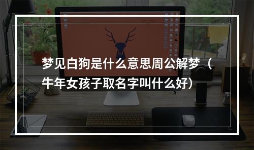 梦见白狗是什么意思周公解梦（牛年女孩子取名字叫什么好）