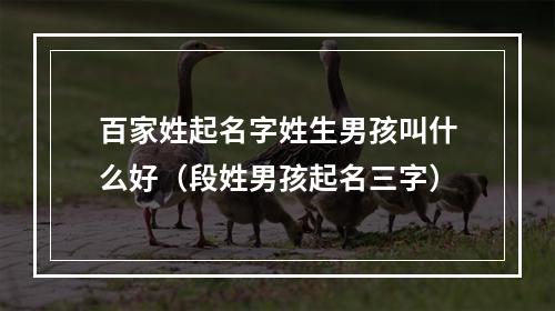 百家姓起名字姓生男孩叫什么好（段姓男孩起名三字）