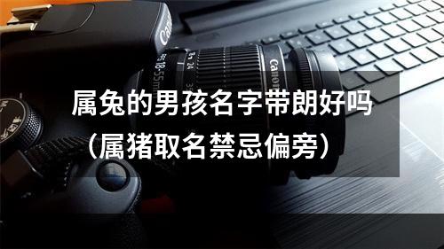 属兔的男孩名字带朗好吗（属猪取名禁忌偏旁）