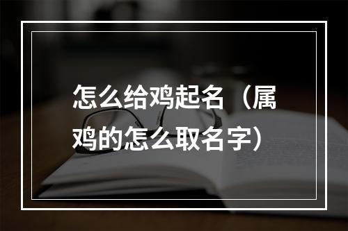 怎么给鸡起名（属鸡的怎么取名字）