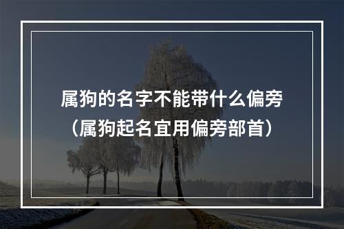 属狗的名字不能带什么偏旁（属狗起名宜用偏旁部首）