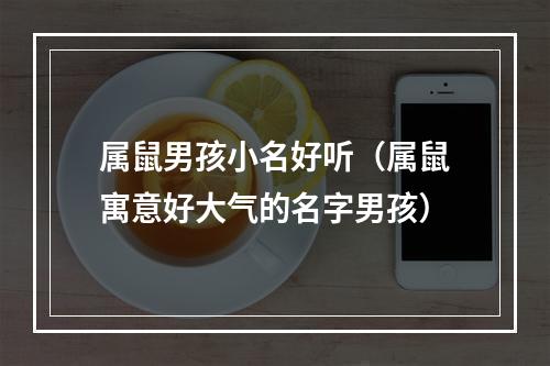 属鼠男孩小名好听（属鼠寓意好大气的名字男孩）