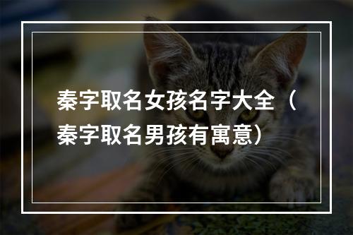 秦字取名女孩名字大全（秦字取名男孩有寓意）